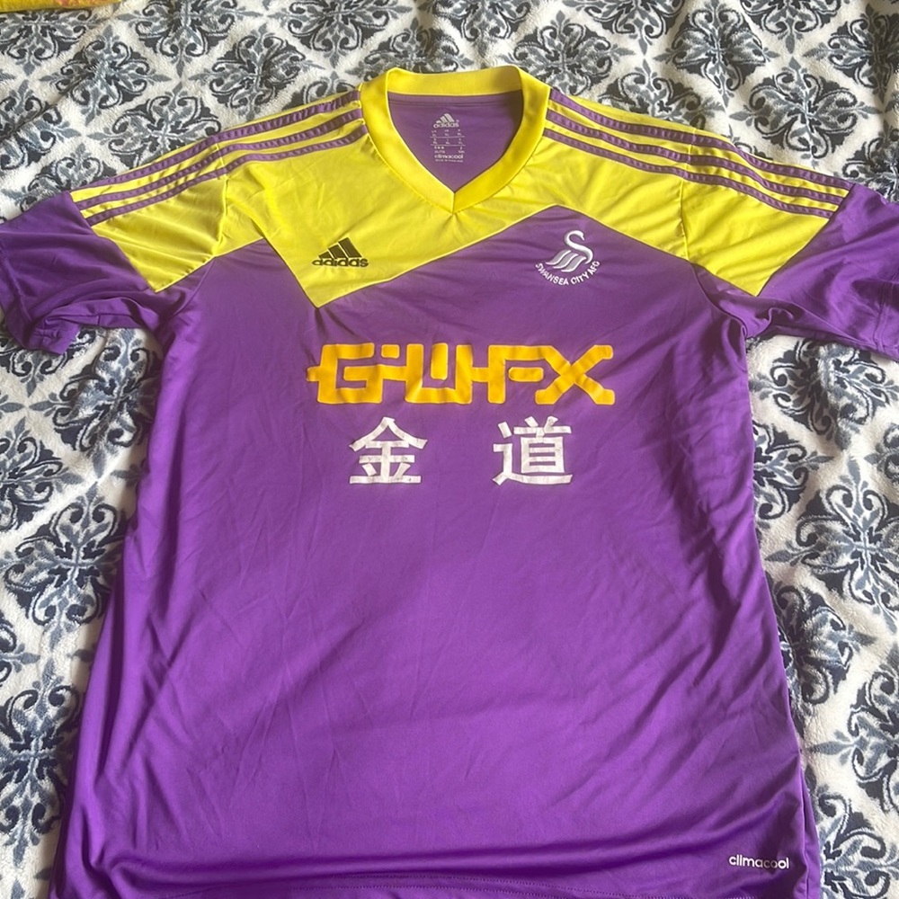 Purple Swansea soccer jersey